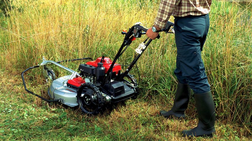 Honda Wiesenmäher-Rasenmäher, Nahaufnahme auf einem Rasen