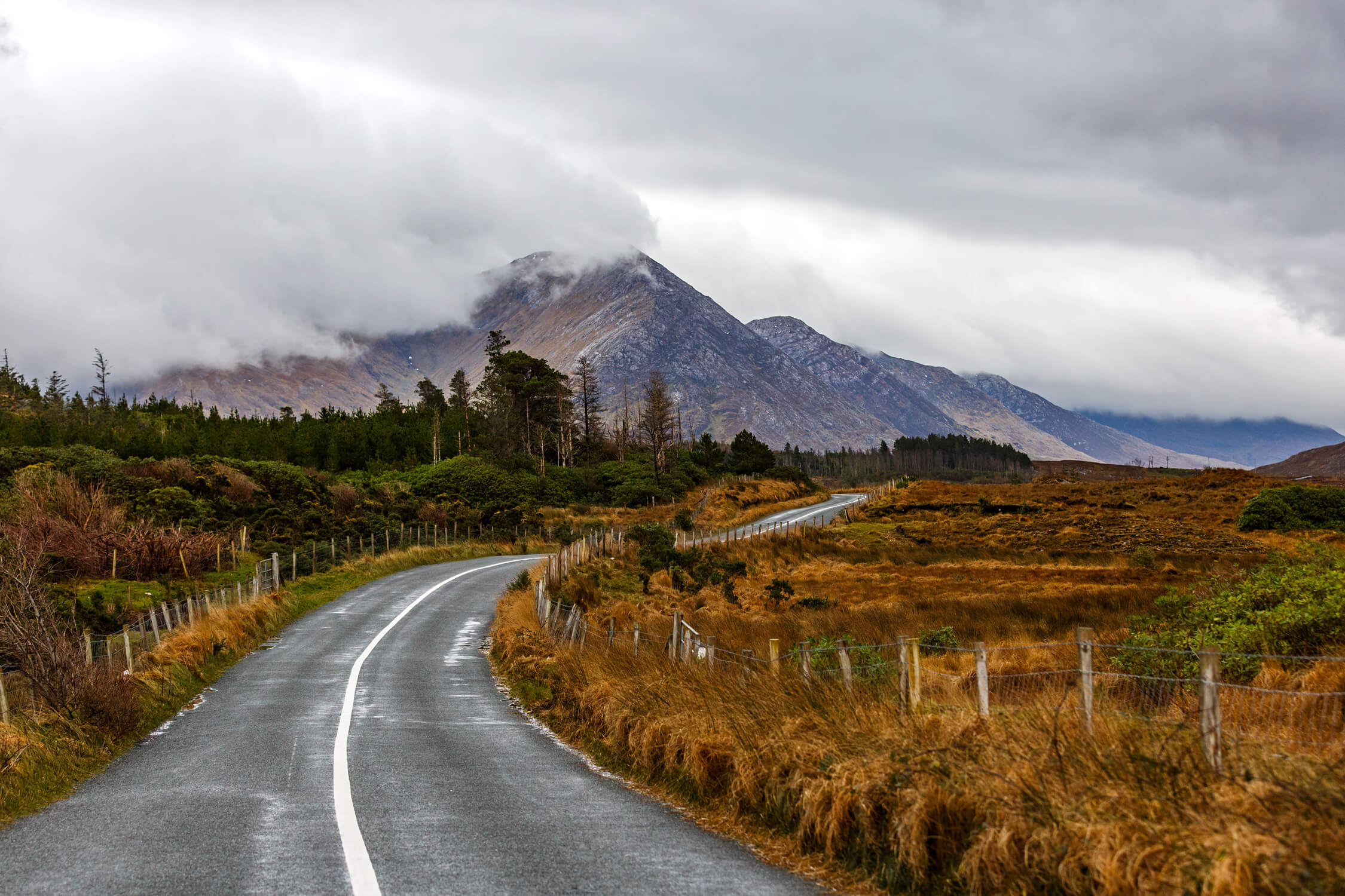 Gewundene Straße am Wild Atlantic Way, Irland