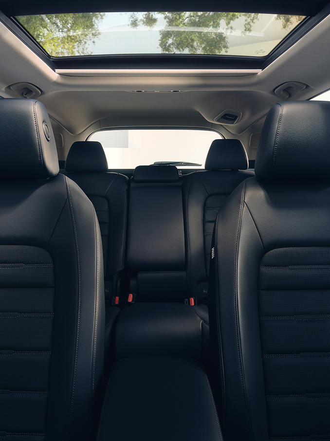 Innenansicht eines Autos mit beheizbaren schwarzen Ledersitzen vorne und hinten samt Kopfstützen, einem großzügigen Innenraum und einem Panorama-Glasschiebedach, das für natürliches Licht im Fahrzeug sorgt.