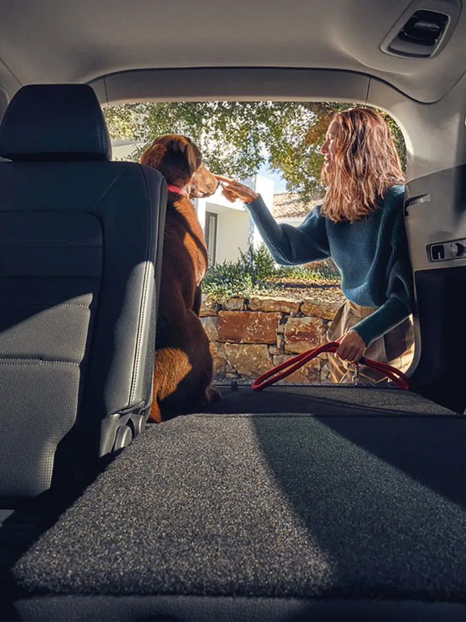 Innenansicht eines Autos mit Panorama-Glasschiebedach, das den blauen Himmel und Sonnenlicht hereinlässt, sowie mit Ledervordersitzen und Kopfstützen im vorderen Bereich, die von natürlichem Licht erhellt werden.