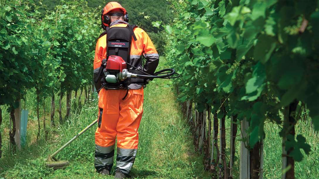 Rückentragbare Honda Freischneider, Verwendung nach Modell, Wiesenumgebung.