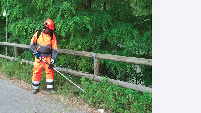 Rückentragbare Honda Freischneider, Verwendung nach Modell, Wiesenumgebung.