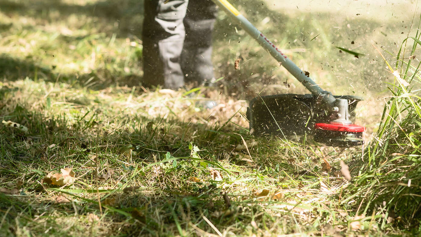 Freischneider im Einsatz, Nahaufnahme