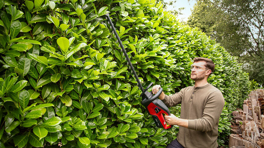 Frau mit Honda Akku-Heckenschere beim Trimmen einer Hecke im Garten.