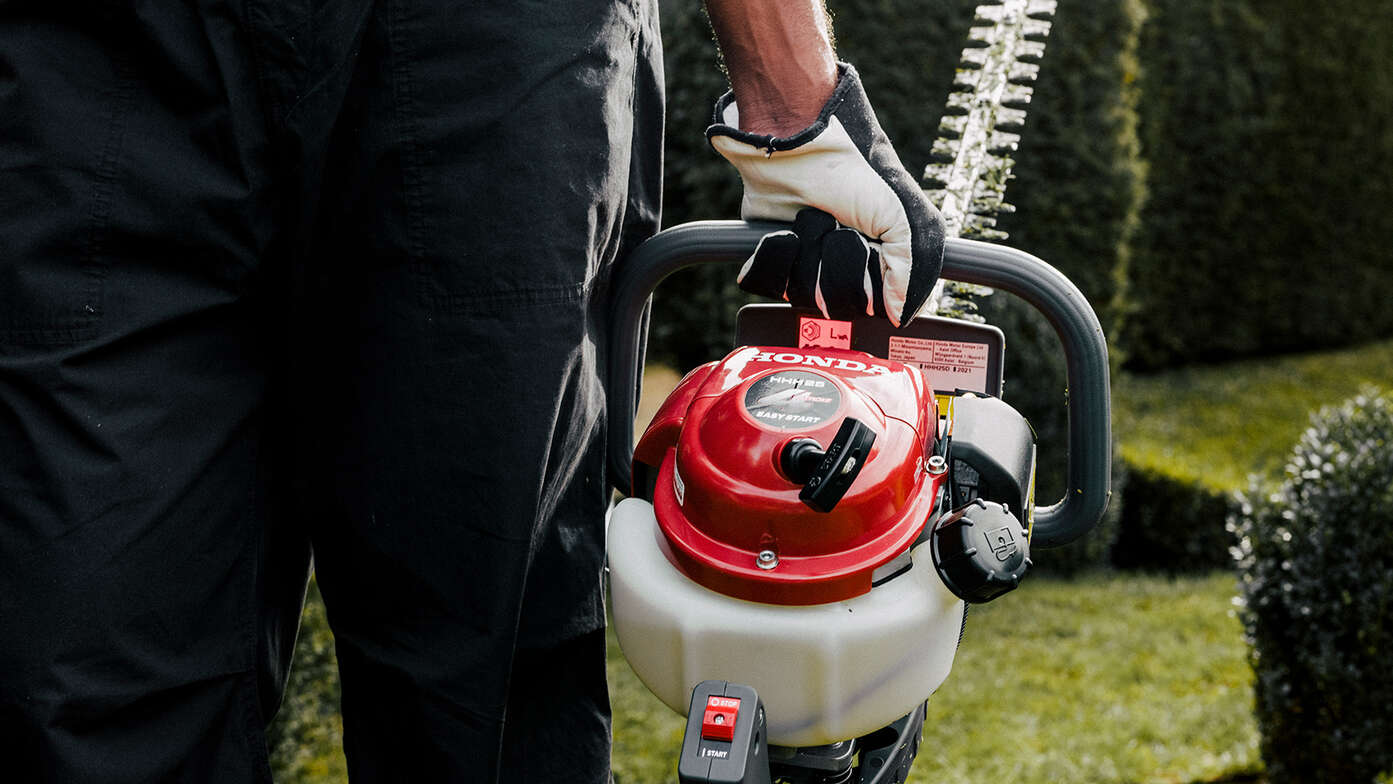 Mann mit Heckenschere