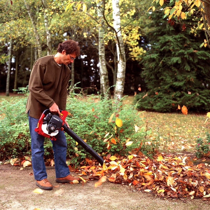 Laubbläser, Verwendung nach Modell, Gartenumgebung.