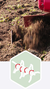 Motorfr&auml;se, Diagramm mit Schwerpunkt auf gegenl&auml;ufige Hackmesser, Gartenumgebung.