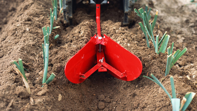 Nahaufnahme des Häufelkörpers, Gartenumgebung.