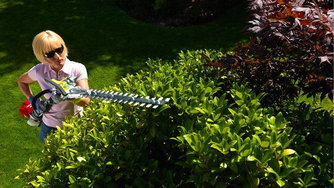 Honda Versatool mit Heckenscherenaufsatz, Einsatz nach Modell, Gartenumgebung.