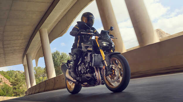 Dax 125 abgestellt, Dreiviertel-Heckansicht vor Meereshintergrund.