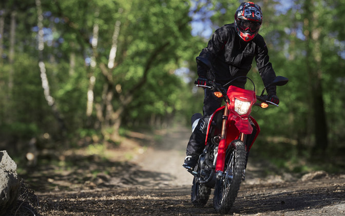 CRF250L, im Freien mit Fahrer