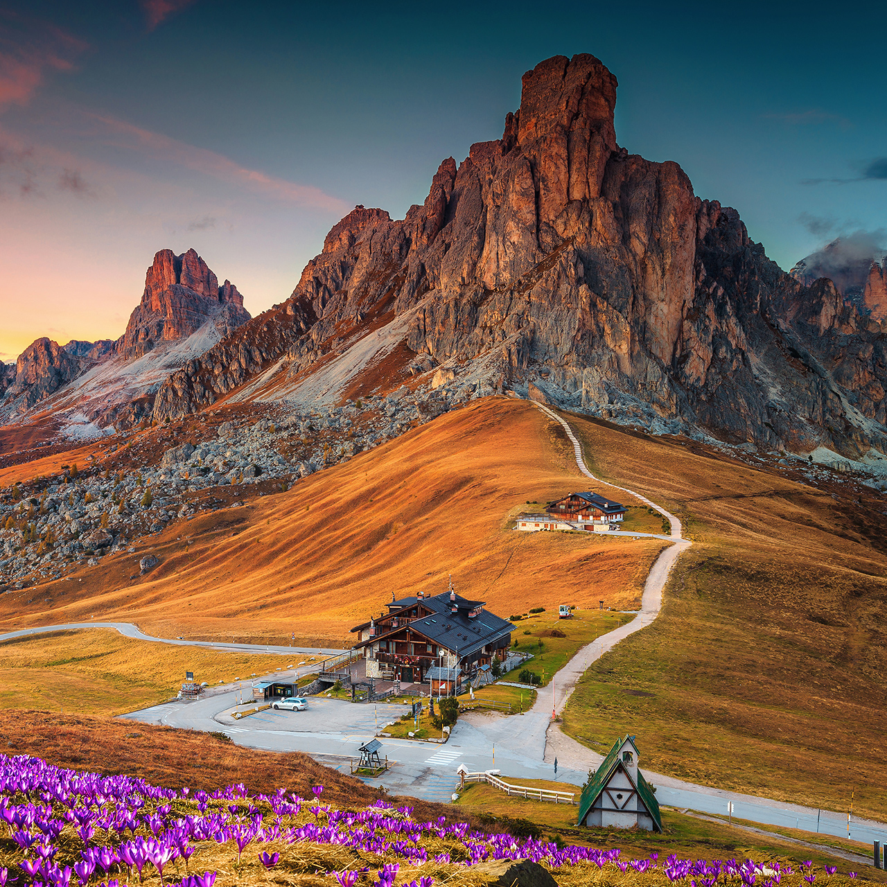 Wunderschöne Alpenlandschaft mit blühenden Frühlings-Krokussen und spektakulären Bergen im Sonnenuntergang, Giau-Pass, Dolomiten, Italien, Europa