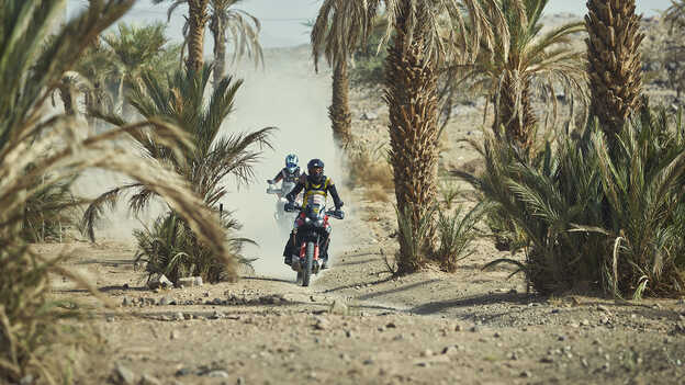 Africa Twin-Fahrer, die eine Oase durchqueren.