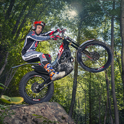 Honda Montesa Cota 301RR, rechte Seite, Wheelie im Wald