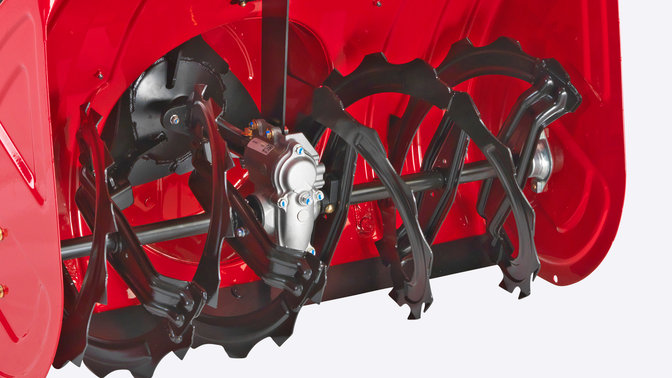 Nahaufnahme der Fr&auml;sschnecke.