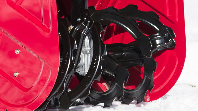 Nahaufnahme der Fr&auml;sschnecke.