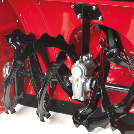 Nahaufnahme der Fr&auml;sschnecke.