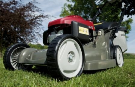 Den Rasen mähen oder mulchen?